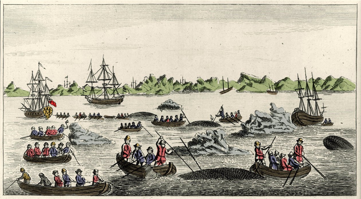 18. yüzyılda Grönland