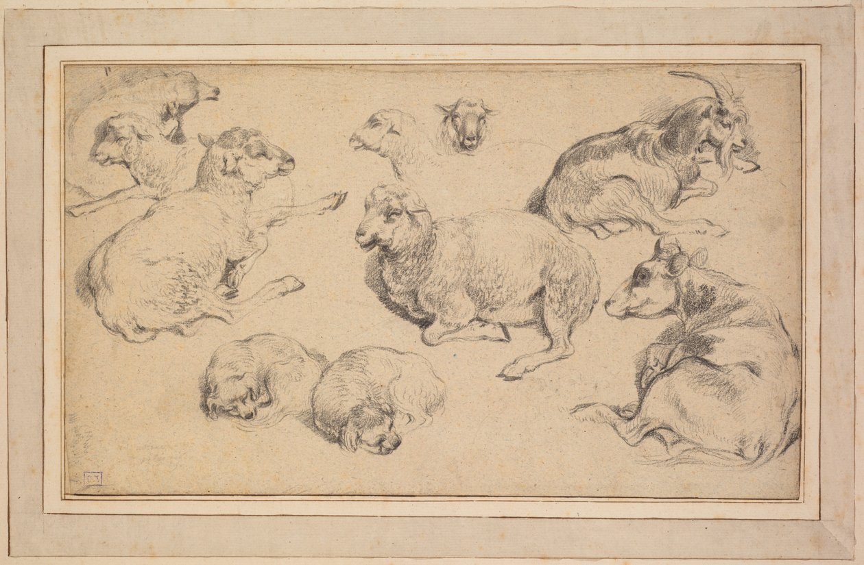 Koyun, Keçi ve Köpeklerle İlgili Çalışmalar Sayfası by Unknown artist