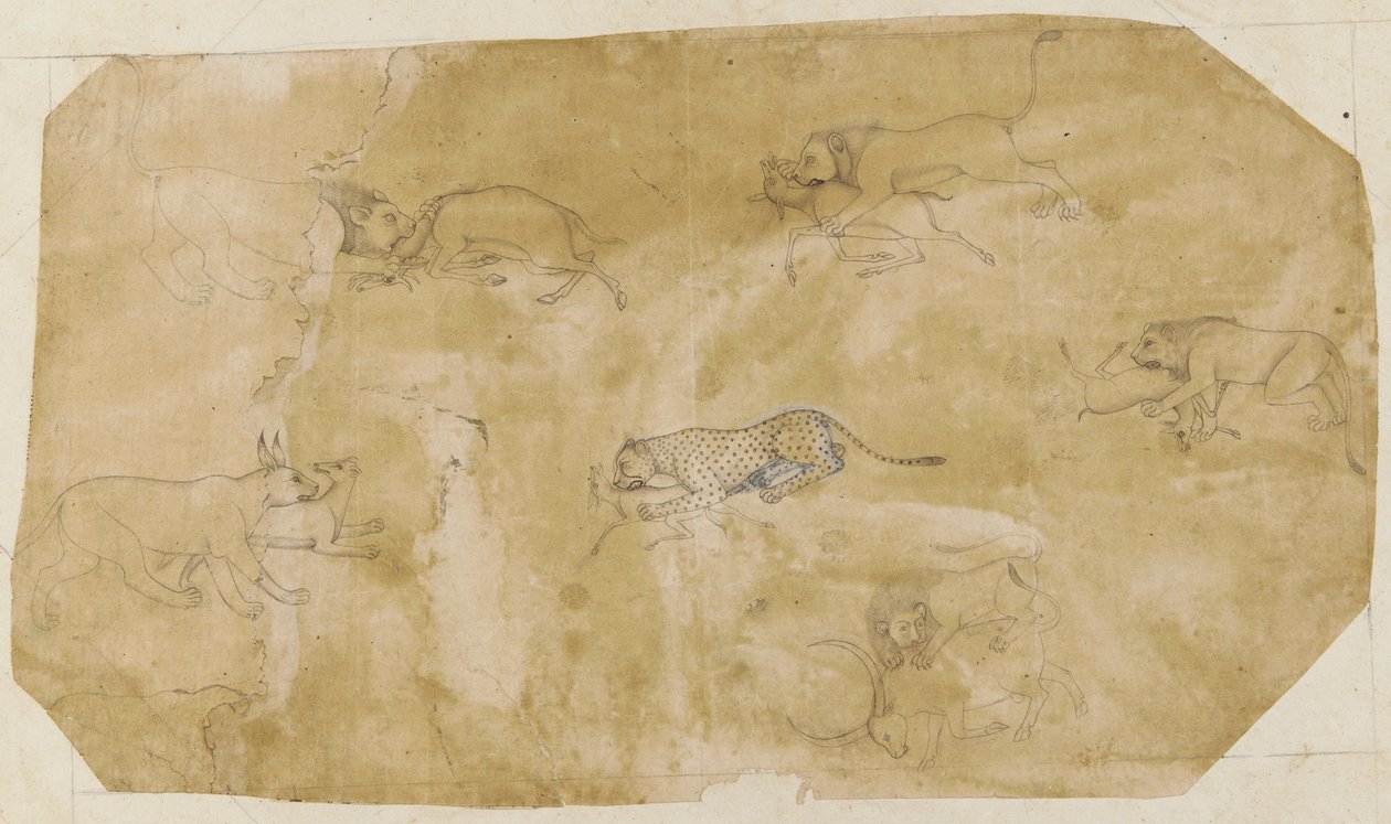 Altı grup dövüşen hayvan by Unknown artist