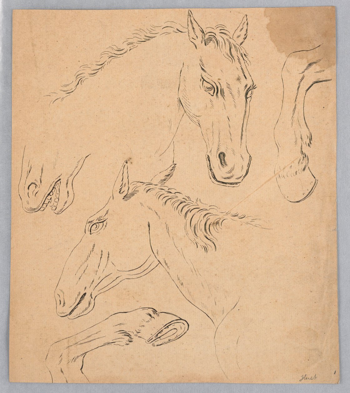 At Başları ve Toynakları Eskizleri by Unknown artist