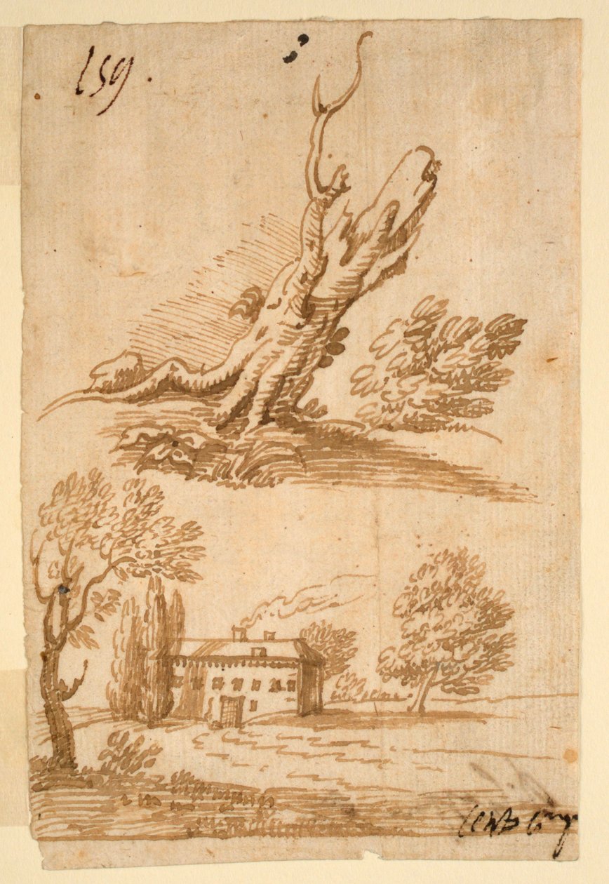 Bir Villa ve Ağacın Eskizleri by Unknown artist