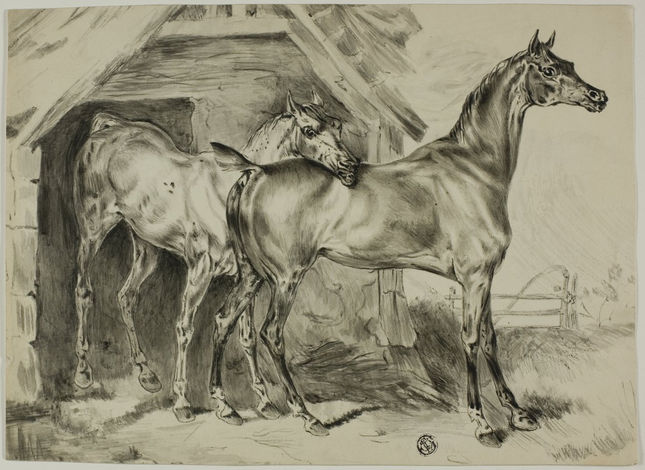 Ayakta Mare ve Colt by Unknown artist