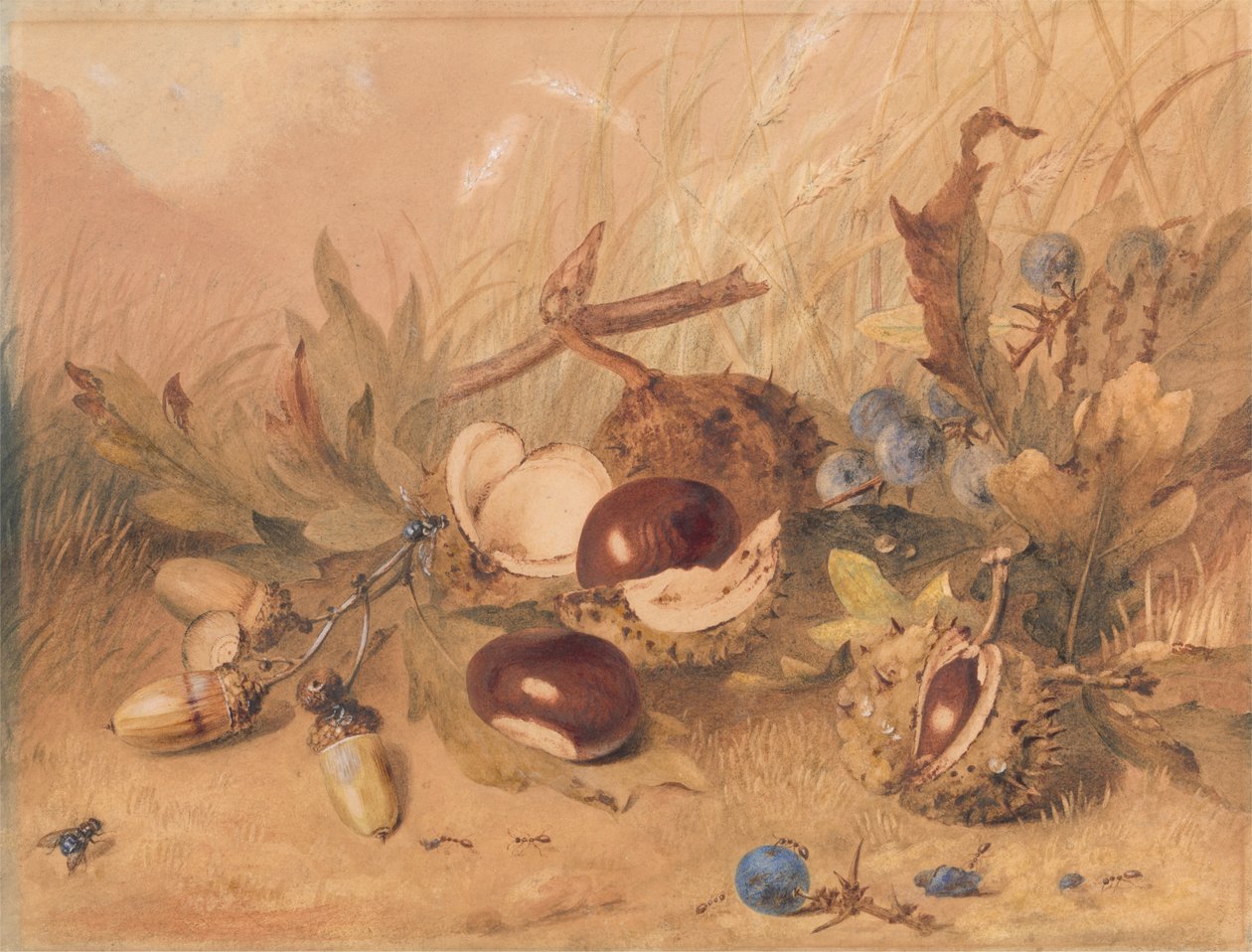 Meşe Palamudu ve At Kestanesi ile Natürmort by Unknown artist
