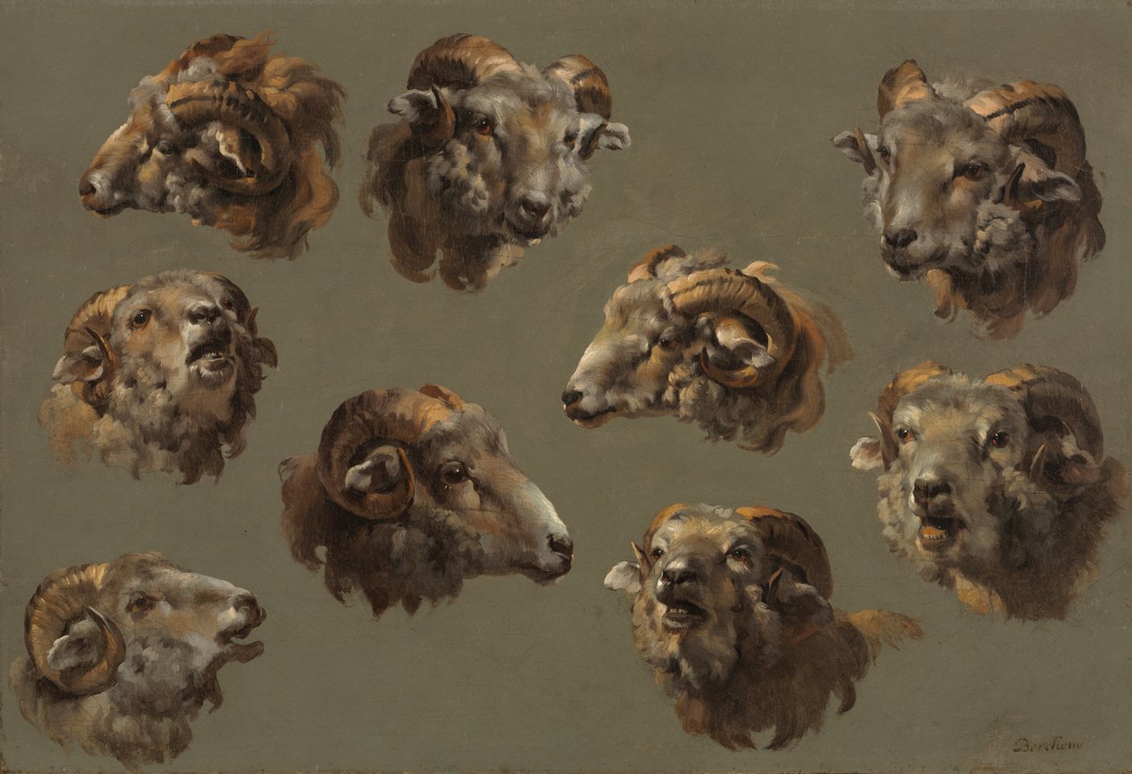 Ram Kafaları Çalışmaları by Unknown artist