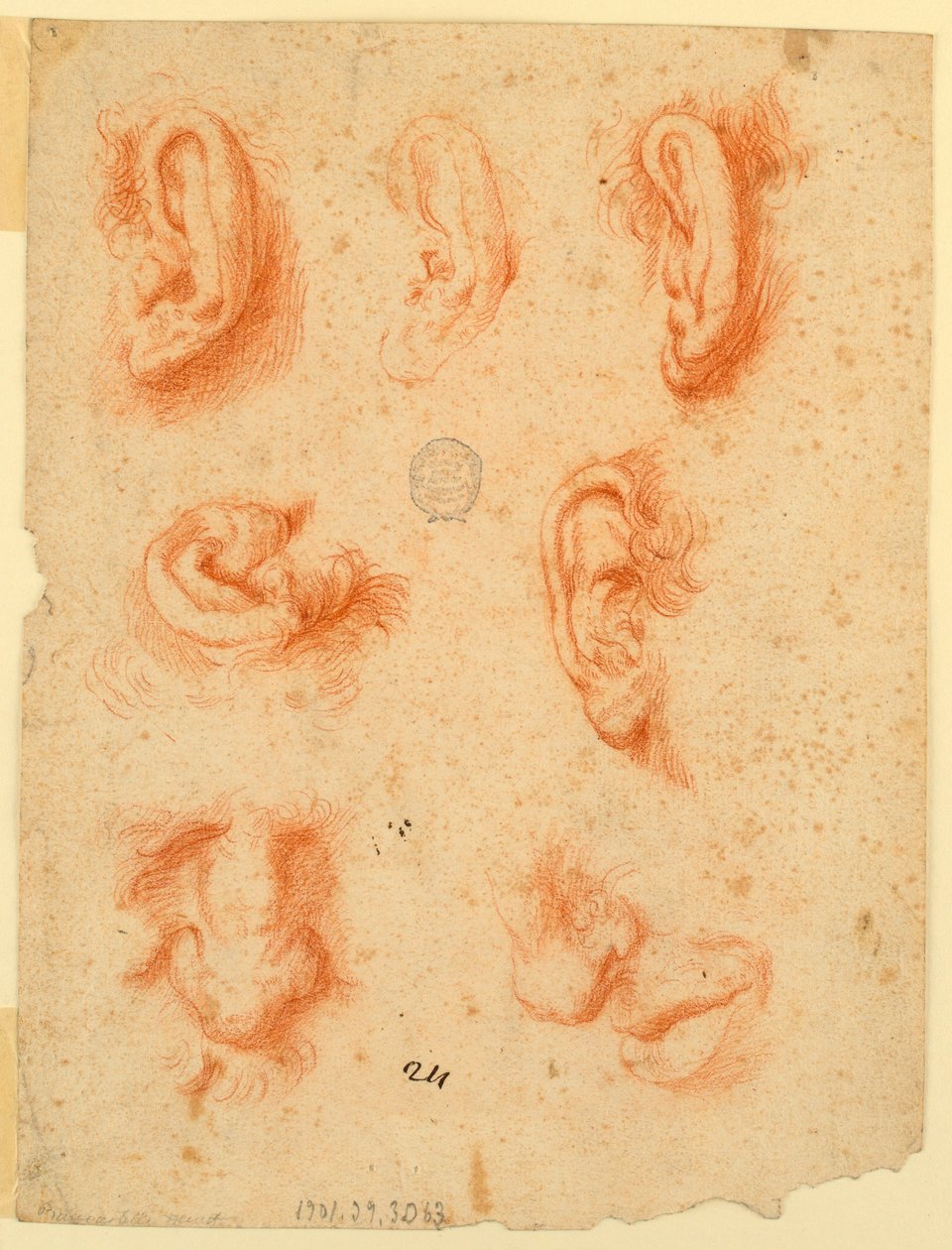 Beş kulak, burun ve ağız çalışmaları by Unknown artist