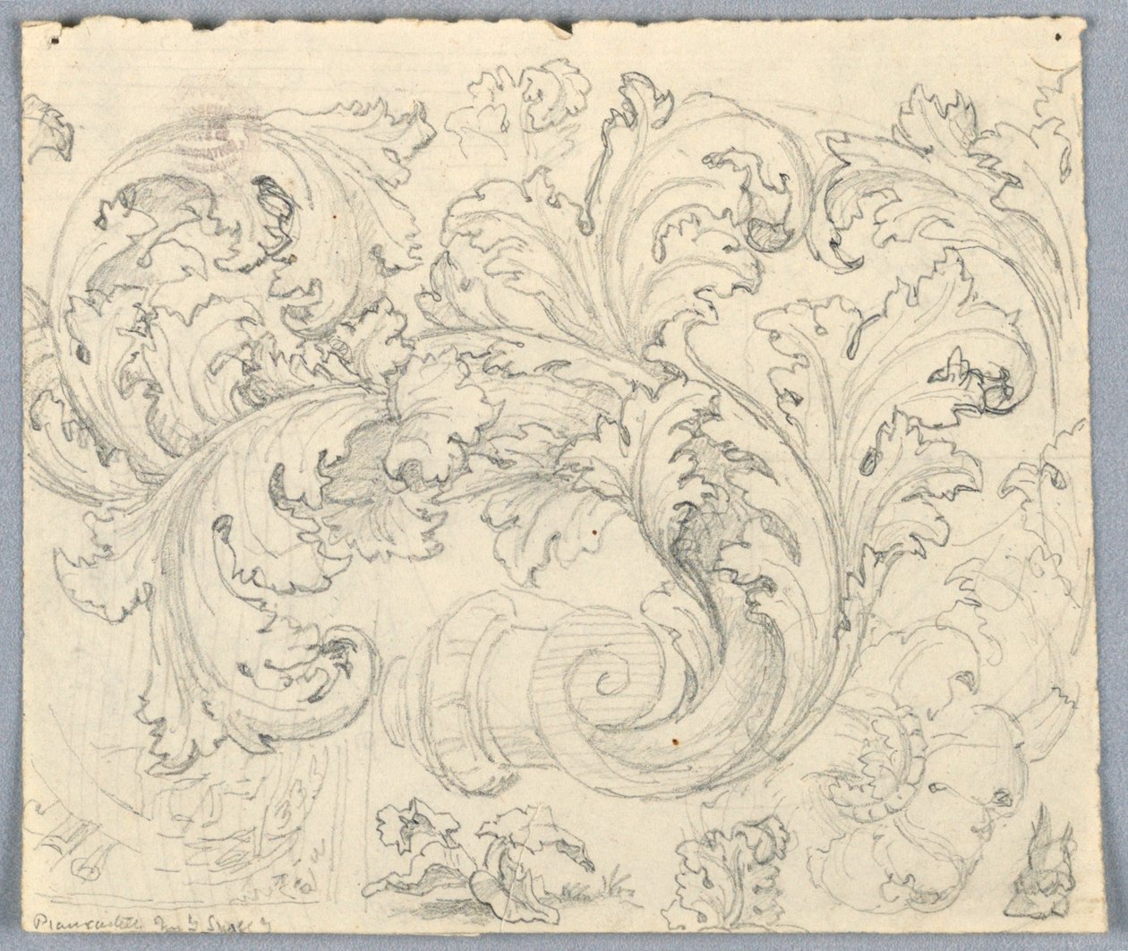 Curling Acanthus Süsleme Çalışması by Unknown artist