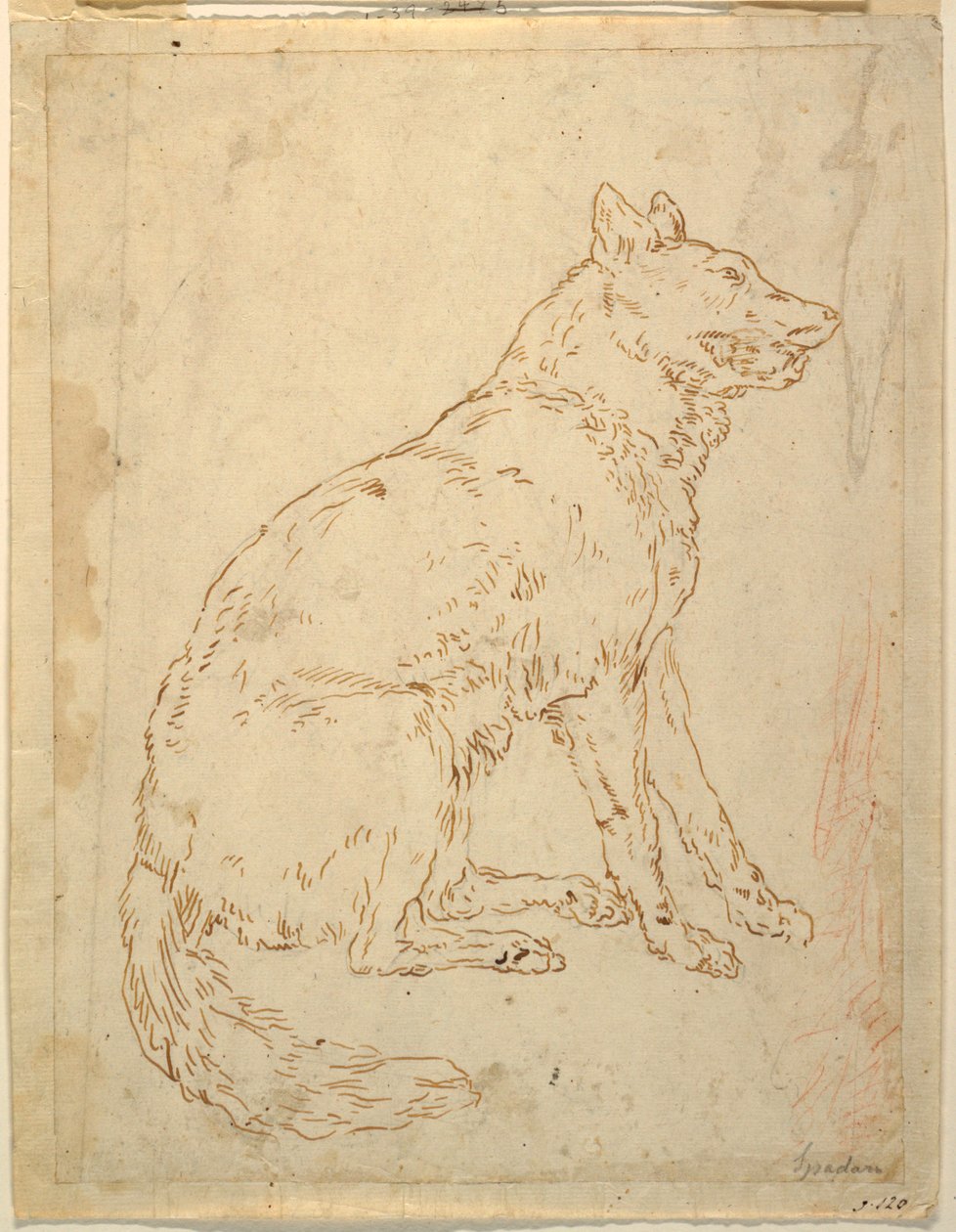 Bir Çoban Köpeği Çalışması by Unknown artist