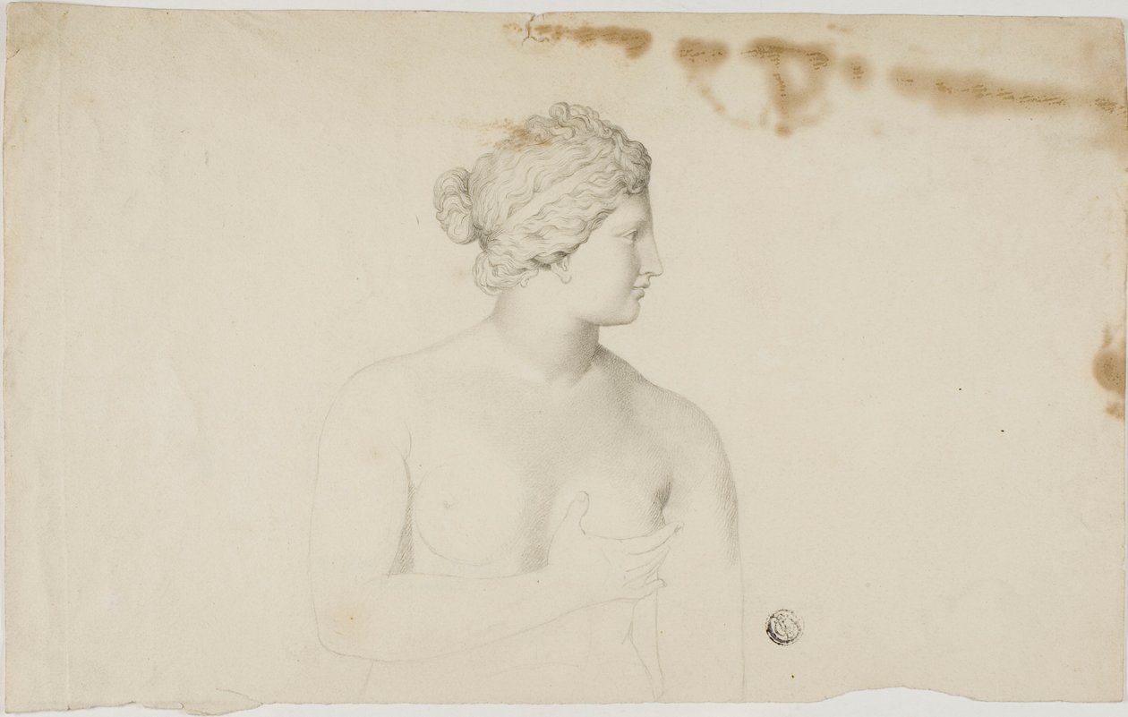 Medici Venüs Çalışması by Unknown artist