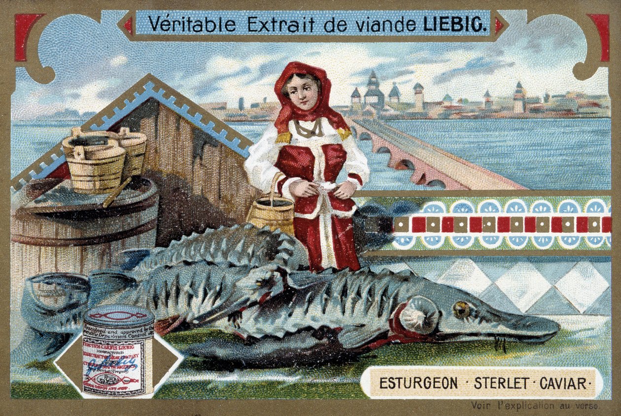 Mersin balığı, sterlet, havyar, elinde kova tutan genç bir kadınla, bir Rus kasabasının önünde - Liebig kromolitografisi by Unknown artist
