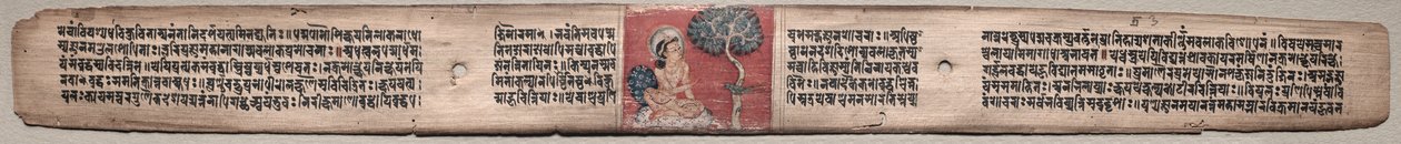 Sudhana ve Papağan: Folio 20 (rekto), bir Gandavyuha-sutra