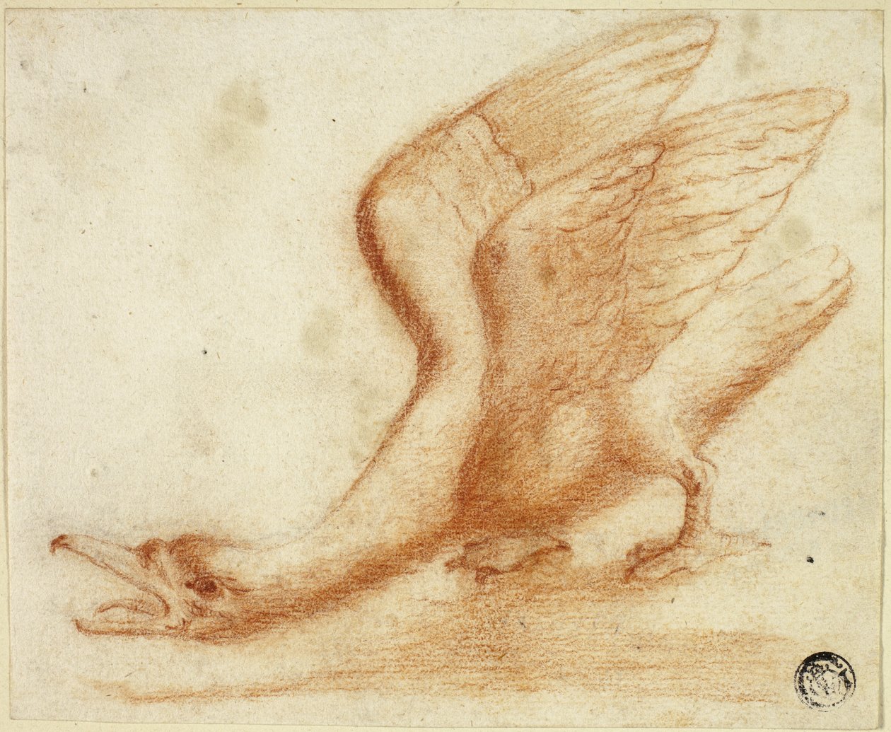 Kuğu by Unknown artist