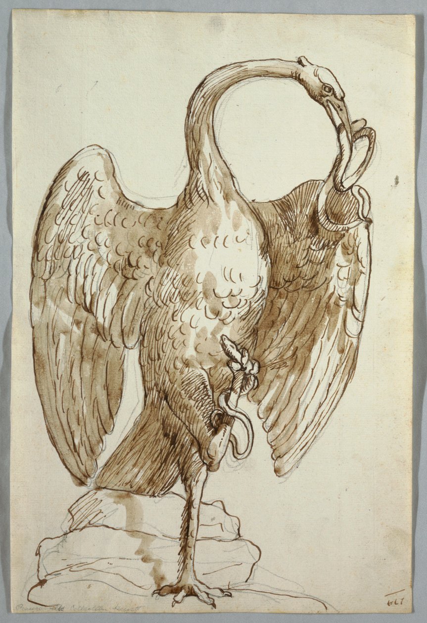 Kuğu ve İki Yılan by Unknown artist