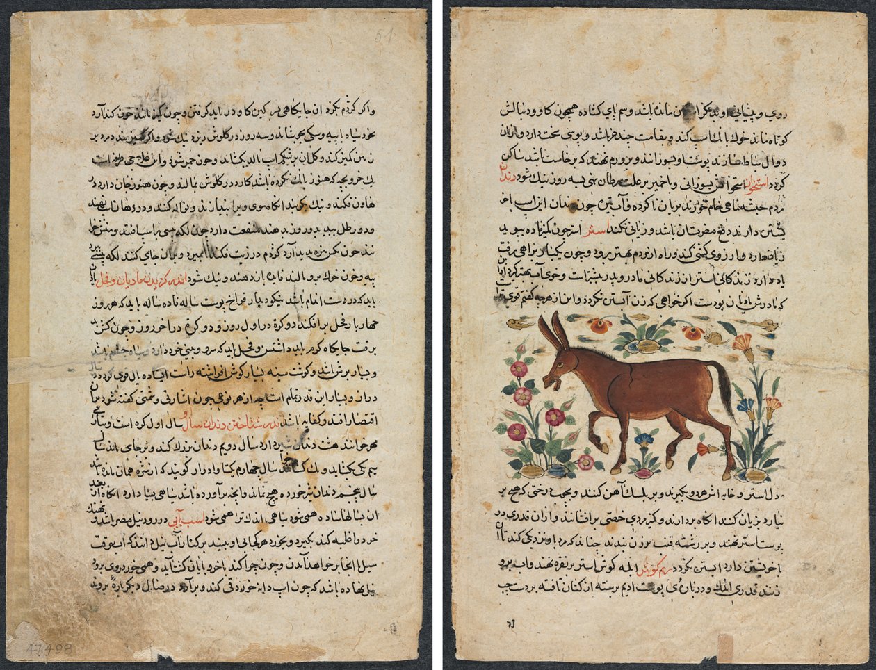 Metin Sayfası, Farsça Nesir (Recto); Khar (Eşek) (Verso) by Unknown artist