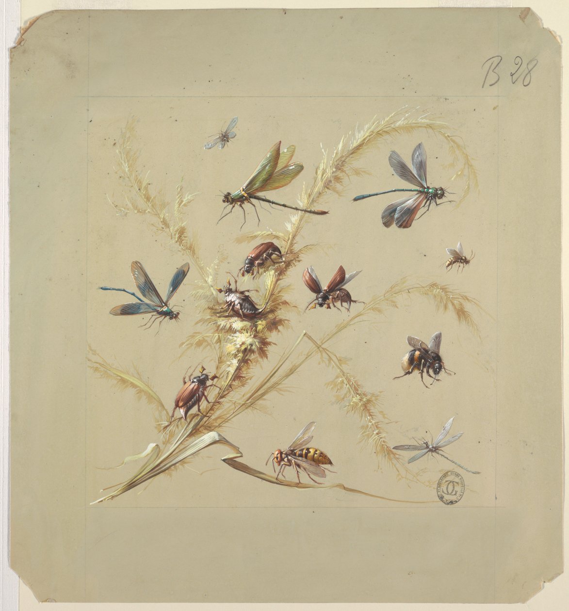 Tekstil veya Duvar Kağıdı Tasarımı: Böcekler by Unknown artist