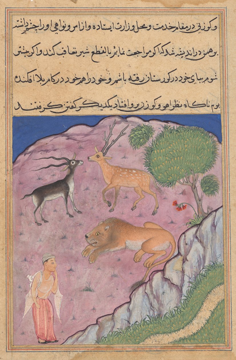 Brahman, bir Tuti-nama