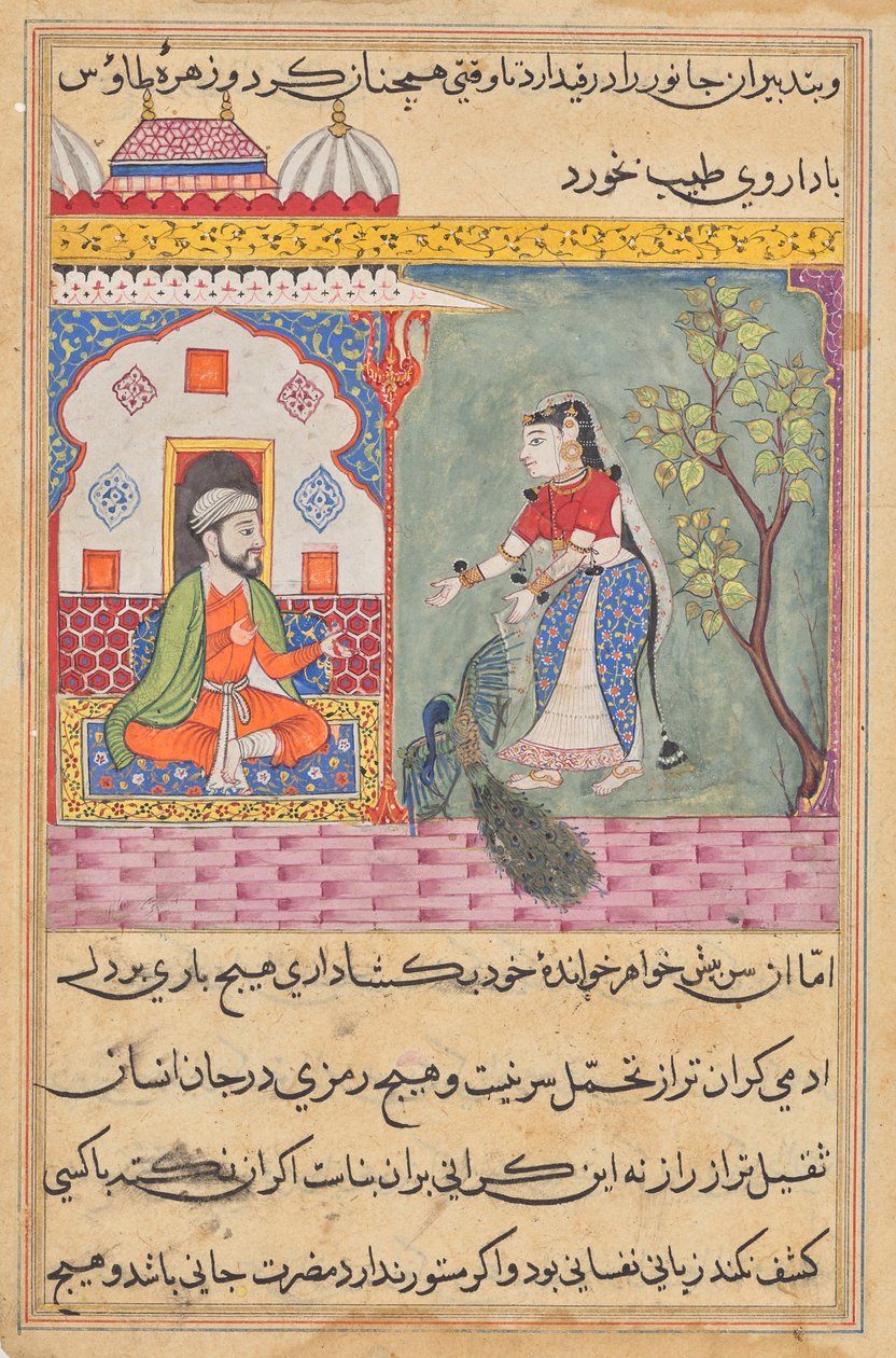 Bir Tuti-nama