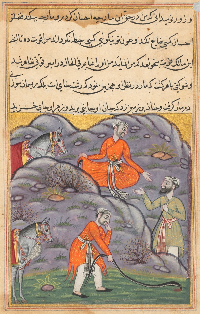 Emir, bir Tuti-nâme