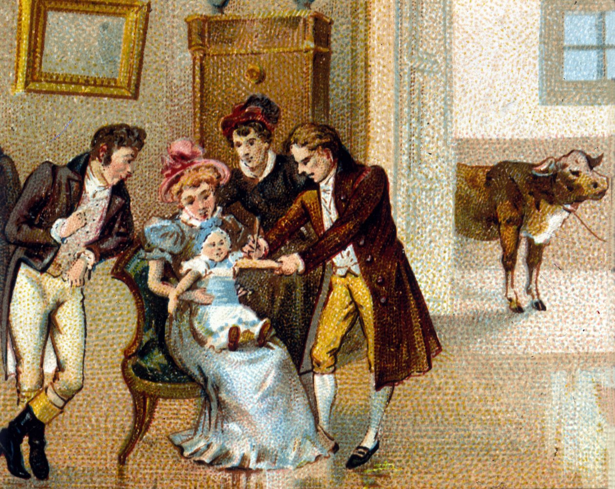 İngiliz doktor Edouard Jenner (1749-1823), yeni birinin koluna çiçek aşısı yaparak onu aşılar. Serumun alındığı inek en alttadır. 19. yüzyılın kromolitografı. by Unknown artist