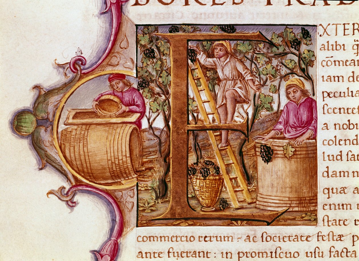 Romalı yazar ve doğa bilimci Yaşlı Pliny