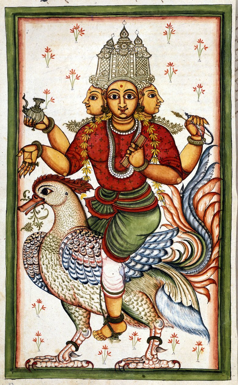 Hindu tanrısı Brahma Sayfası (ms.8300) Stefano Nivibus Cardeira