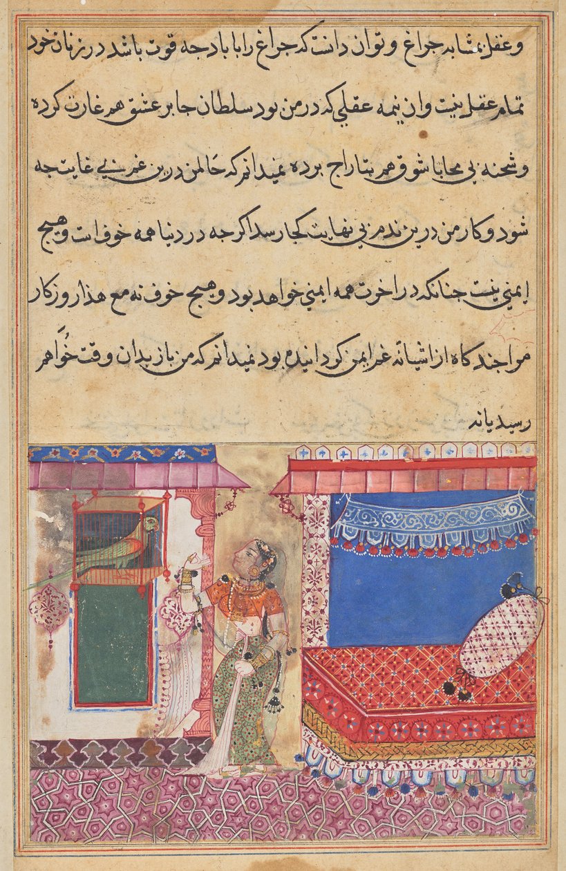 Papağan, Bir Tuti-nama
