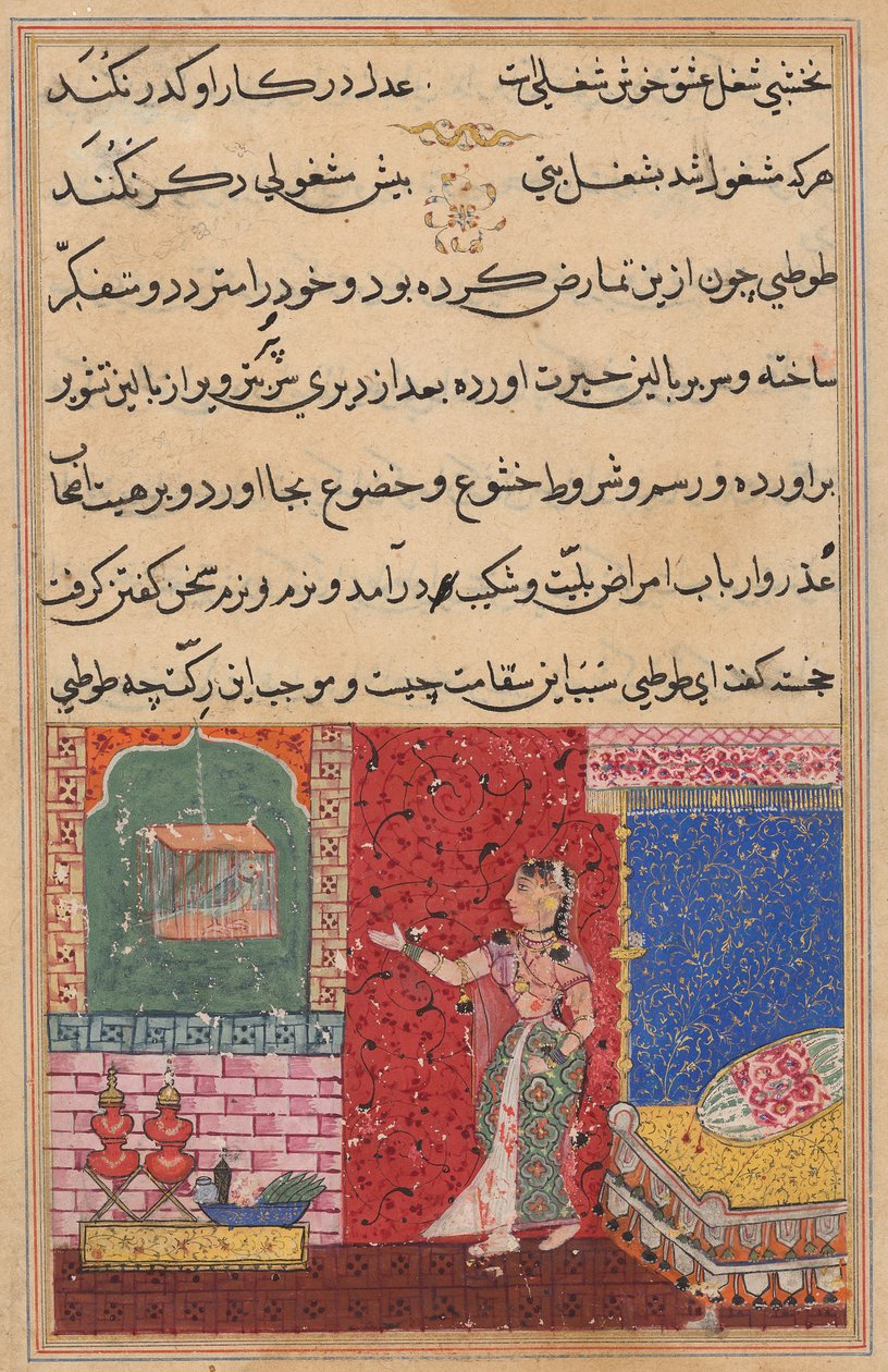 Papağan, Bir Tuti-nama