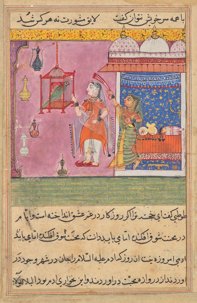 Papağan, Bir Tuti-nama