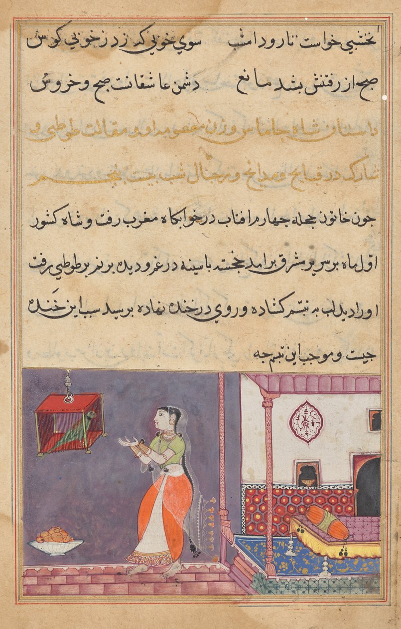Papağan, Bir Tuti-nama