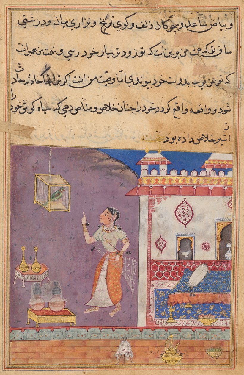 Papağan, Tuti-nama