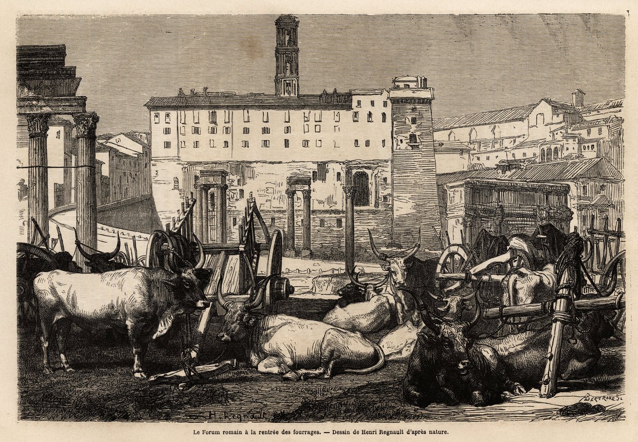 Roma forumunda yem kirası var, öküzler arabaların ve antik kalıntıların ortasında yatıyor. Gravür dökün illustrrer le voyage à Roma, Francis Wey tarafından, 1864-1868