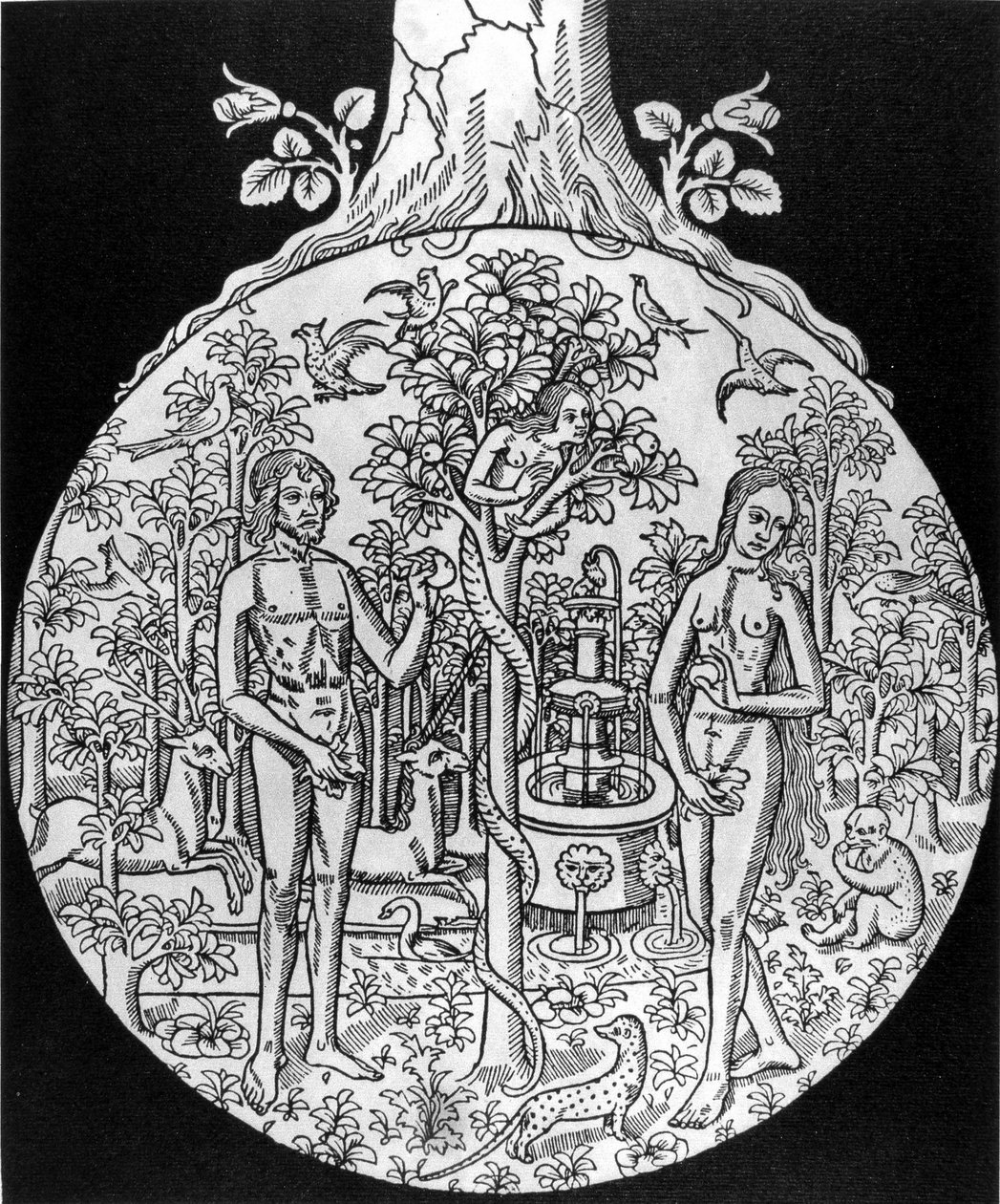 Bilim Ağacı (Cennette Adem ve Havva) - gravür, deb. 16. yüzyıl, Jean Adhemar tarafından “” L