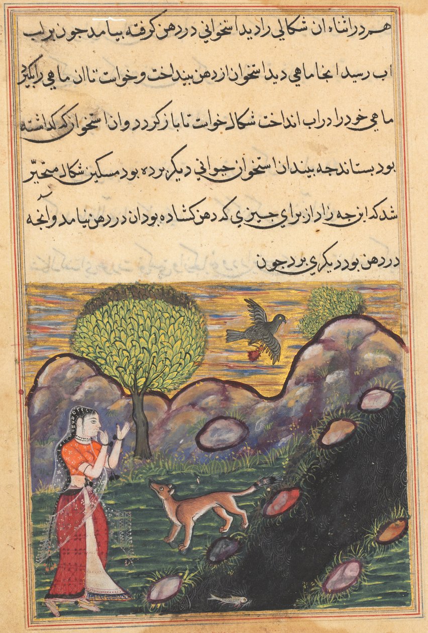Banaras kralının gelini, bir kuş tarafından yiyeceğinden mahrum bırakılan çakalın bir Tuti-nama
