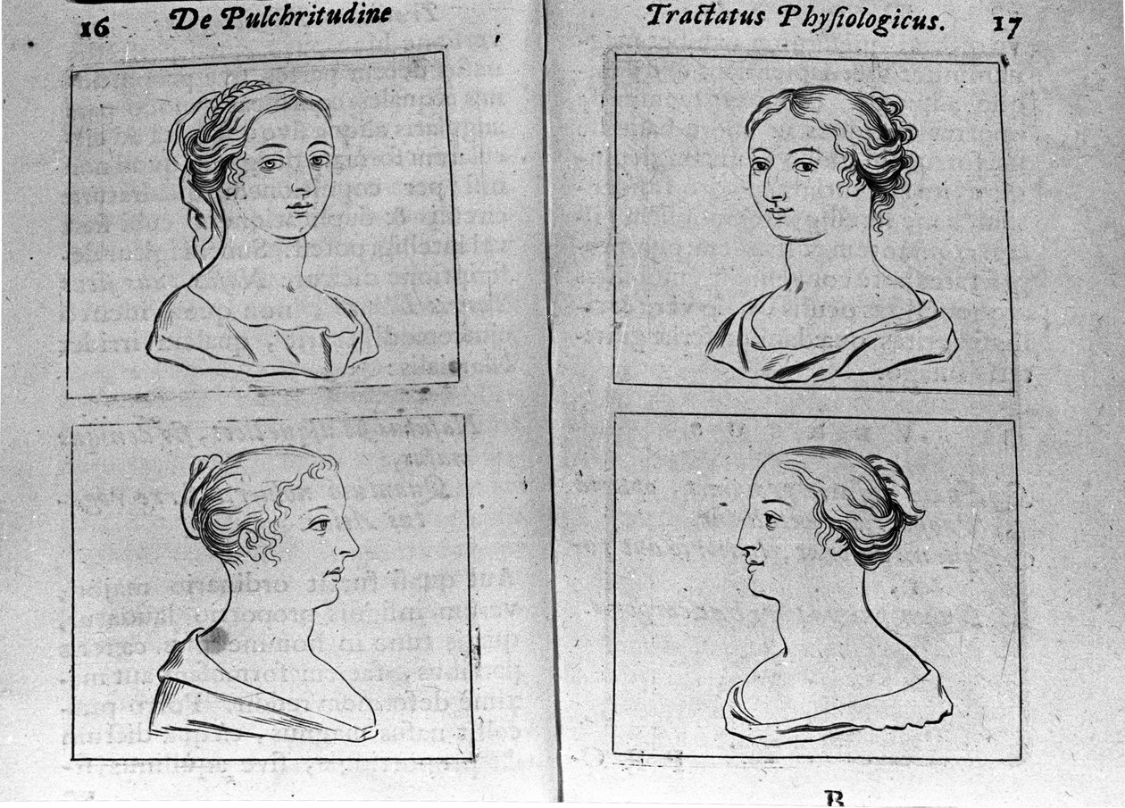 “Tractatus physiologicus de pulchritudine”den alınan farklı kadın profilleri Sayfası, anonim bir rakibe karşı yaratılışın güzelliğini savunan Ernesto Venio