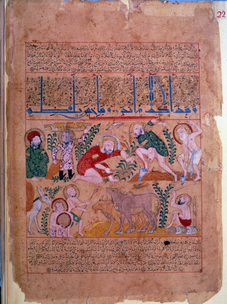 Doktor Andromakhos tarımsal faaliyetleri gözlemler Minyatür “” Panzehir kitabı” 1199 Paris, B.N. by Unknown artist