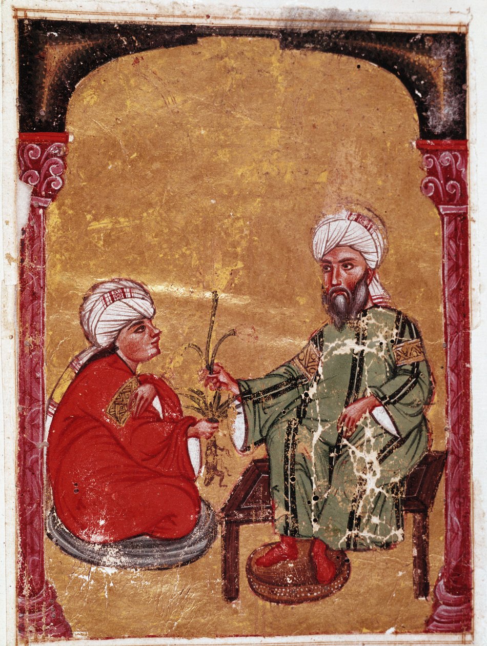 Doktor ve botanikçi Pedanius Dioscoride (Pedanius Dioscorides) (MS 40-90) öğrencilerinden biri ile birlikte “De materia medica” adlı tezinden minyatür (ms Ahmed III, 2147, folio 217a) 1229 Topkapı Sarayı Müzesi Kütüphanesi, İstanbul by Unknown artist
