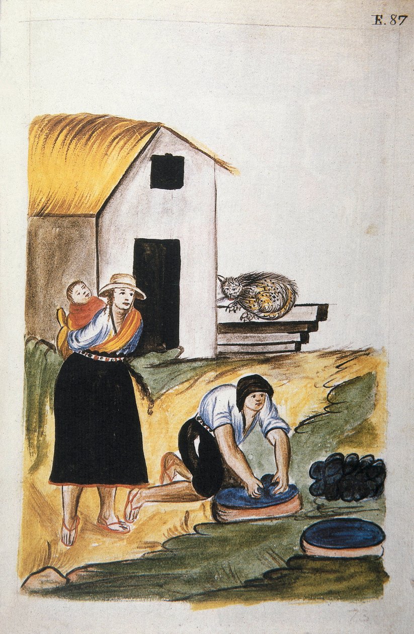 Baltazar Martinez Compañón y Bujanda, Trujillo piskoposu (1782-1785) tarafından "Trujillo del Peru" veya "Códice Martínez Compañón" kitabından yün boyama by Unknown artist