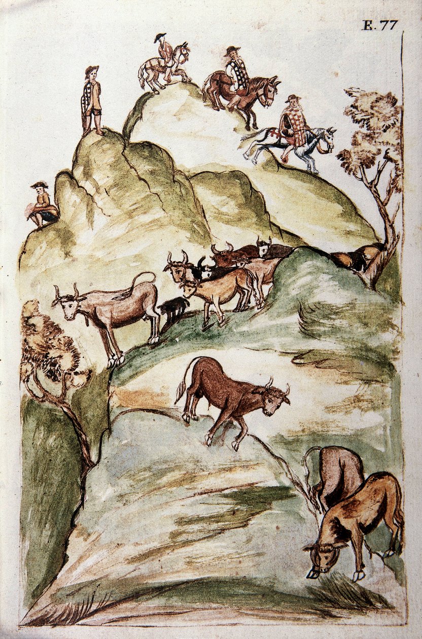 Baltazar Martinez Compañón y Bujanda, Trujillo piskoposu (1782-1785) tarafından yazılan "Trujillo del Peru" veya "Códice Martínez Compañón" kitabından, onları yakalamak için dağlarda bir grup ineği çevreleyen ineklerin koruyucuları by Unknown artist