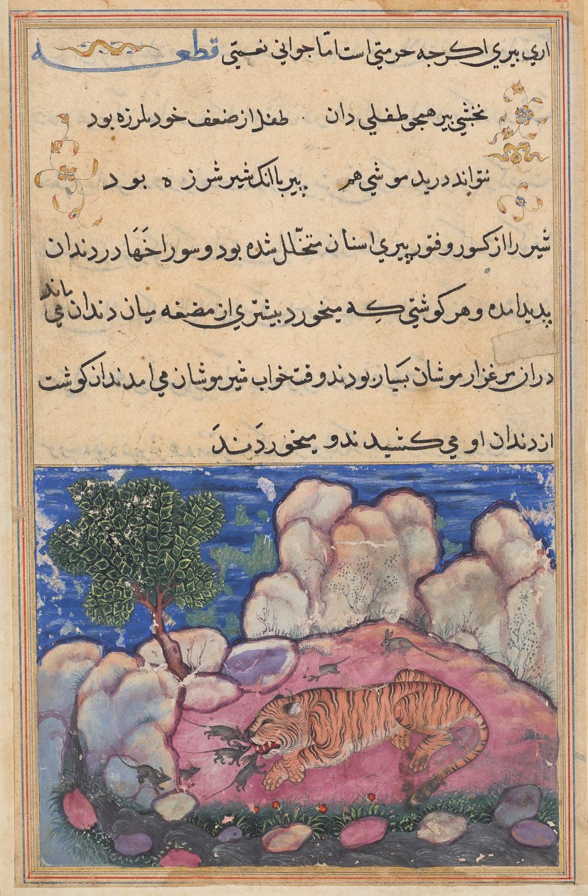 Bir Tuti-nama