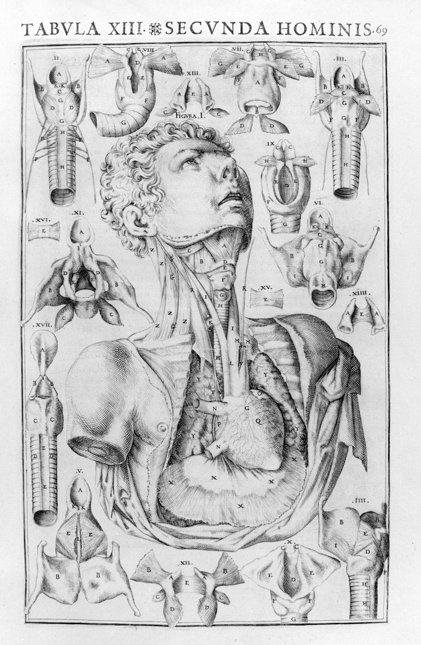 Ferrara 1601 by Unknown artist