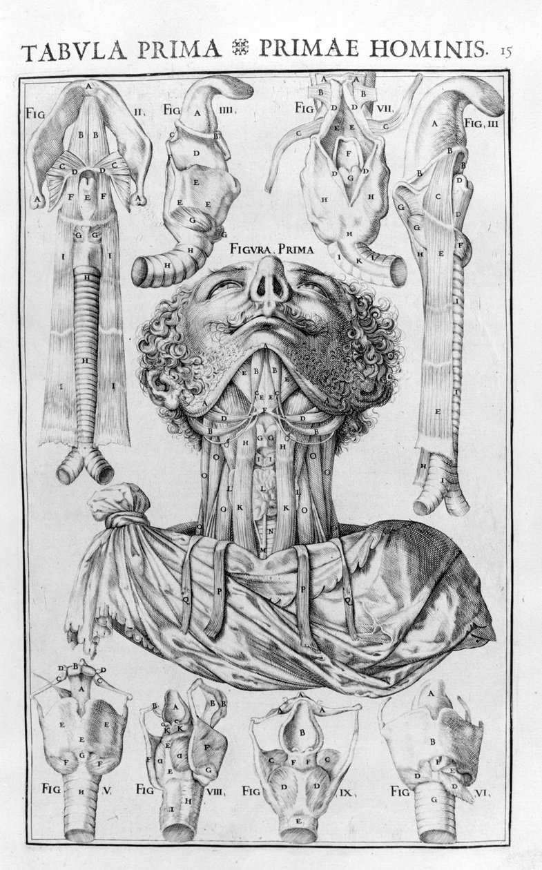 Ferrara 1601 by Unknown artist