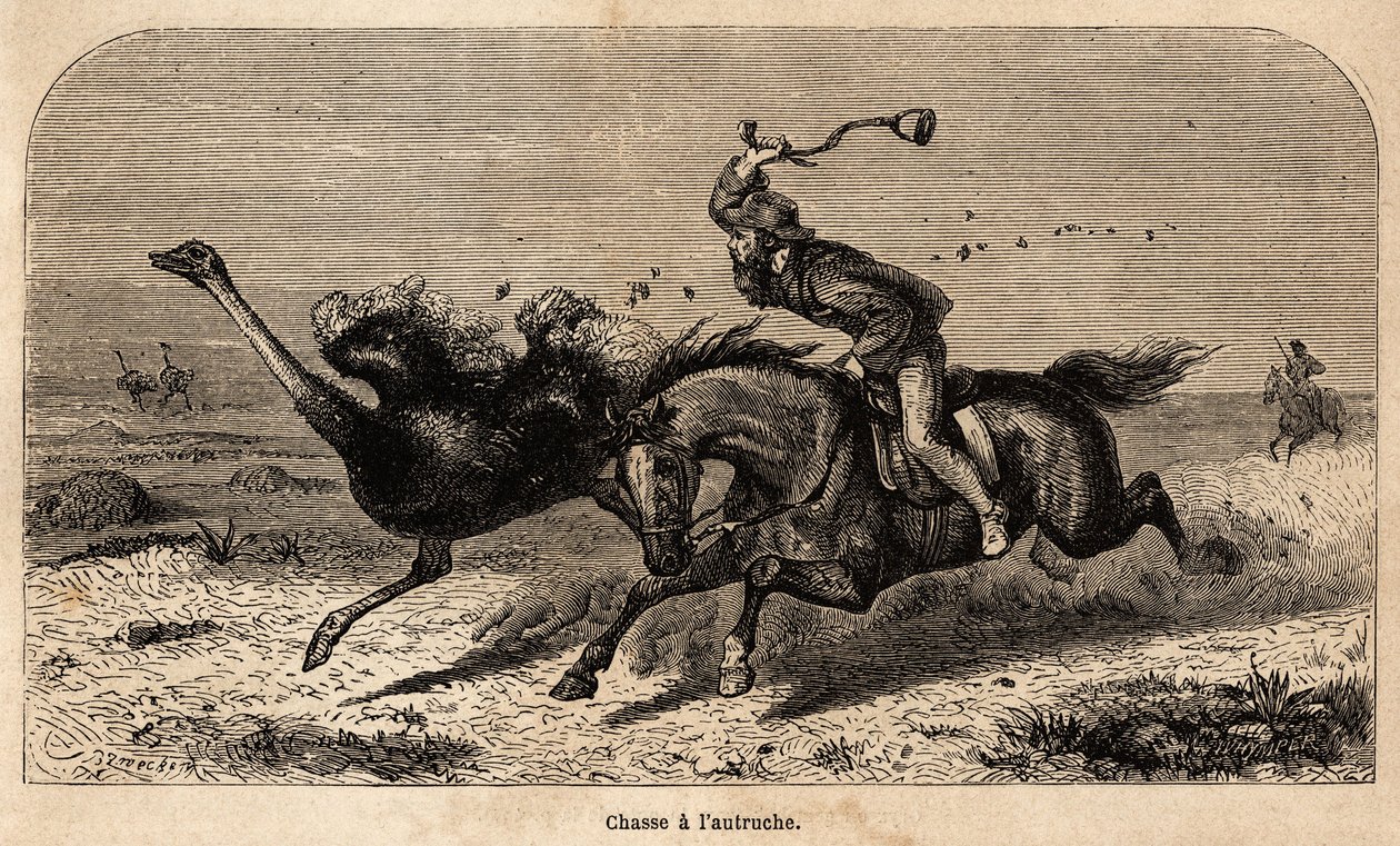 1852 ve 1860 yılları arasında William Charles Baldwin tarafından Afrika