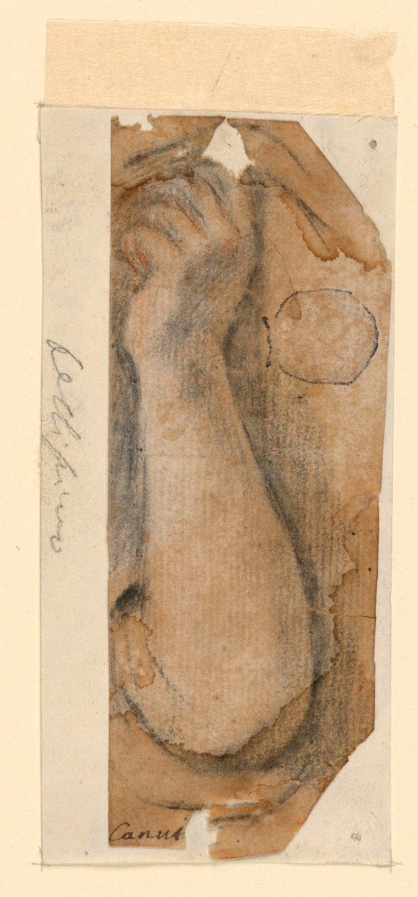 Bir kadının yükseltilmiş önkol by Unknown artist