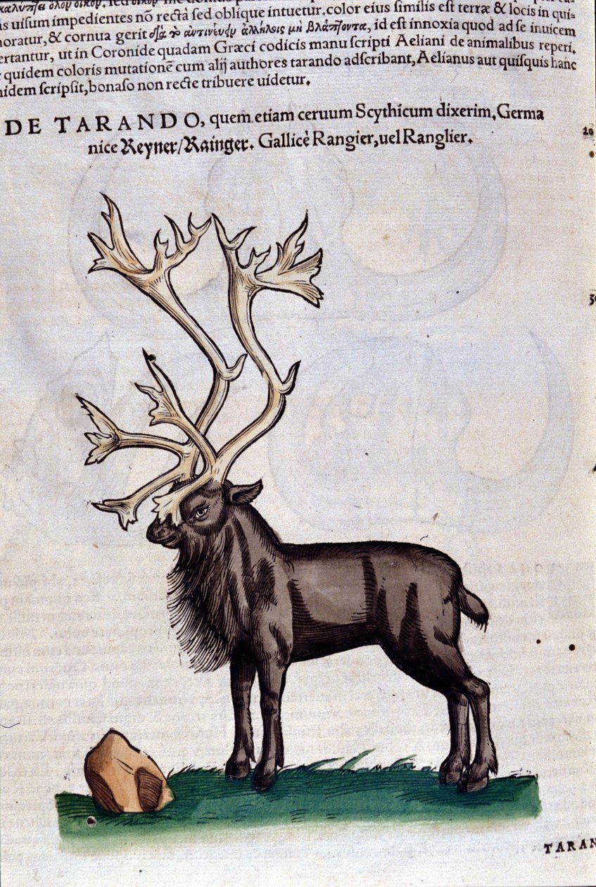 Historia Animalium