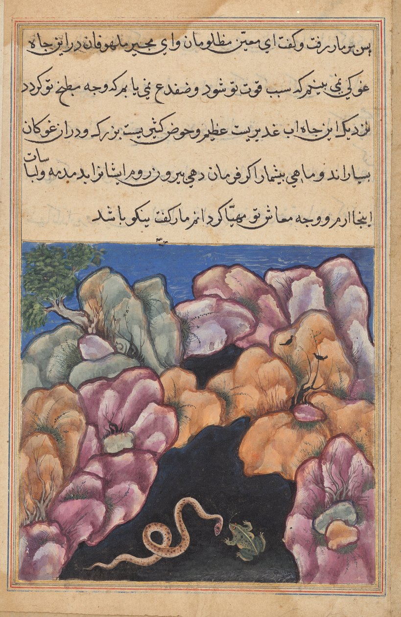 Yılan, bir Tuti-nama'dan (Bir Papağan Masalları) kurbağayla tartışır: Yirmi Altıncı Gece by Unknown artist