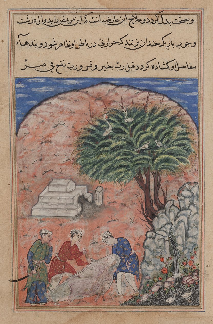 Talipler, bir Tuti-nâme