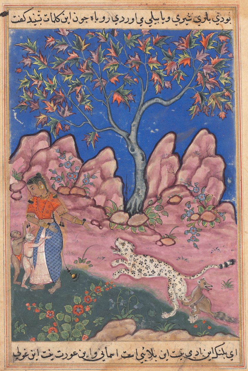 Bir Tuti-nama