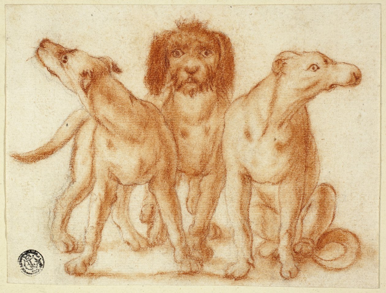 Üç köpek by Unknown artist