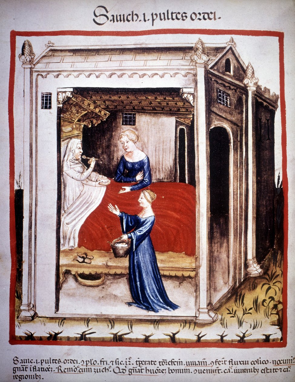 Tıp incelemesi “” Tacuinum sanitatis””” 14. yüzyıl: hemşirelerin yardım ettiği bir hasta. BN, Viyana. by Unknown artist