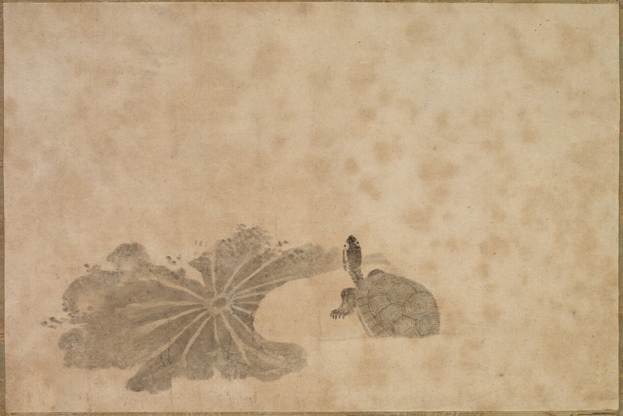 Lotus Göletinde Kaplumbağa by Unknown artist
