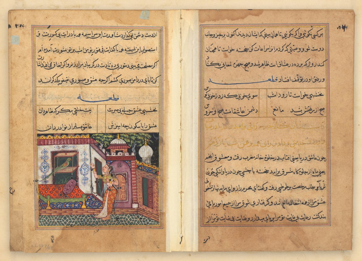 Tuti-Nama (Bir Papağan Masalları) by Unknown artist